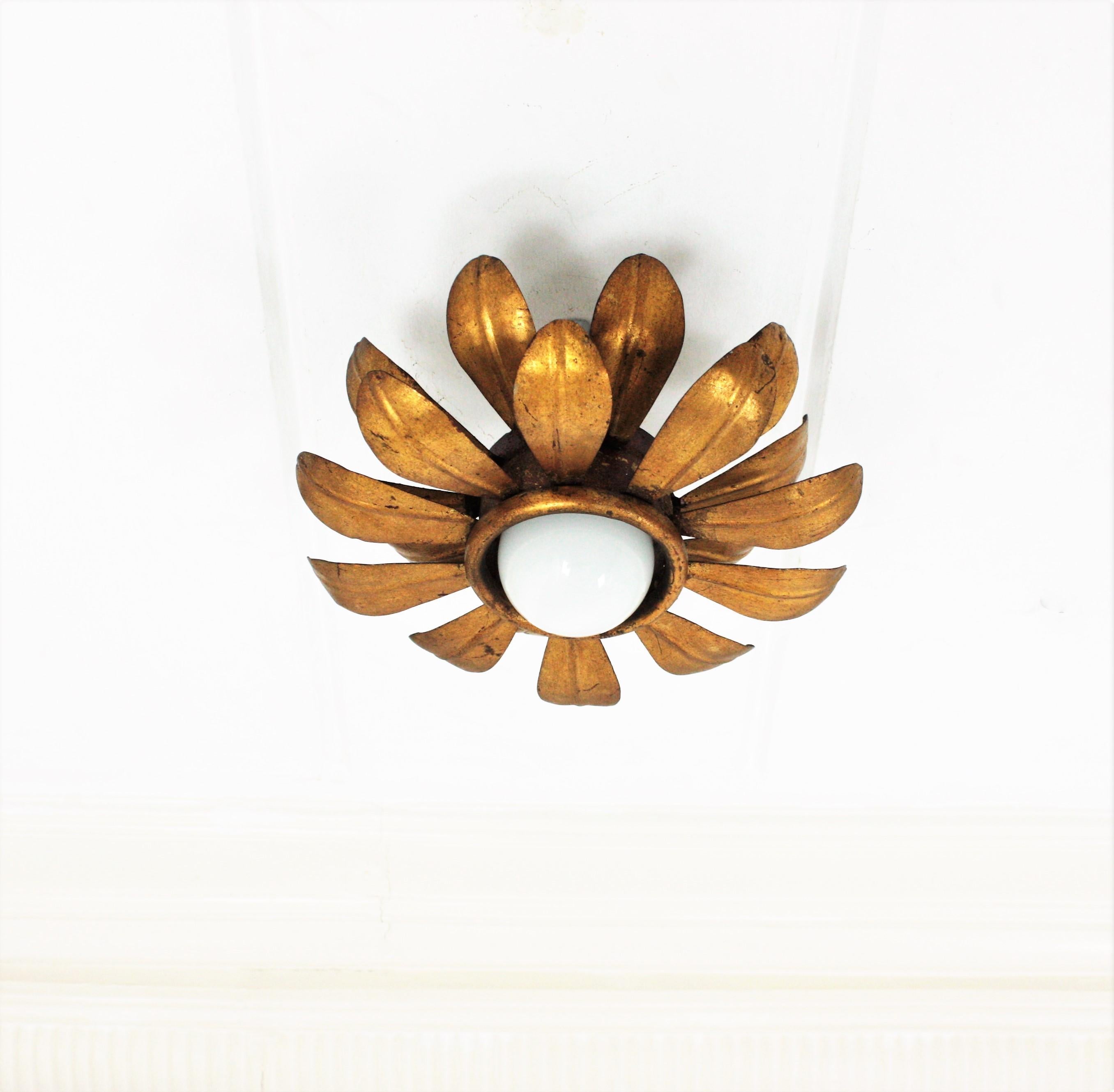 French Flower Sunburst Light Fixture or Pendant in Gilt Iron For Sale 4