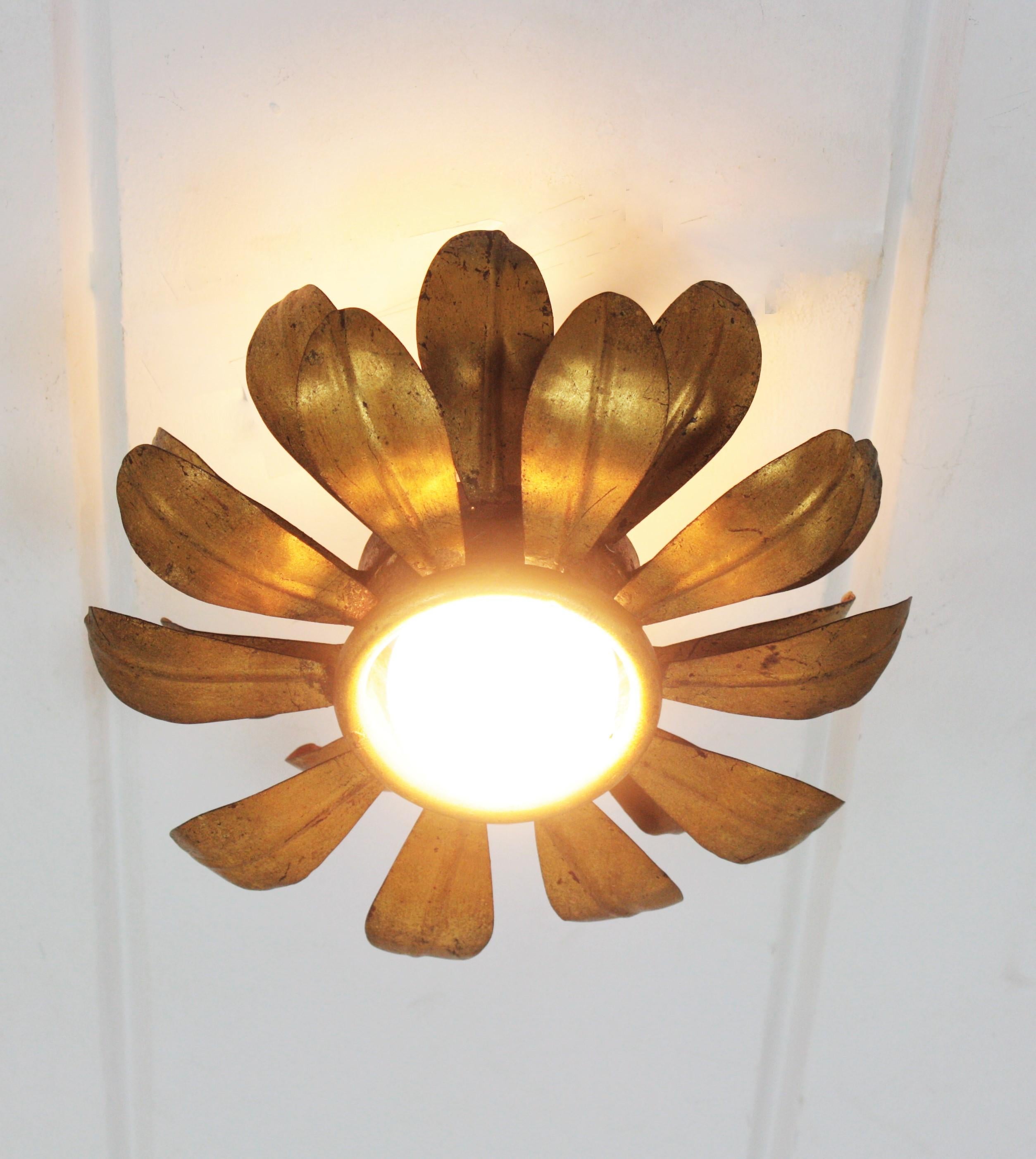 French Flower Sunburst Light Fixture or Pendant in Gilt Iron For Sale 5
