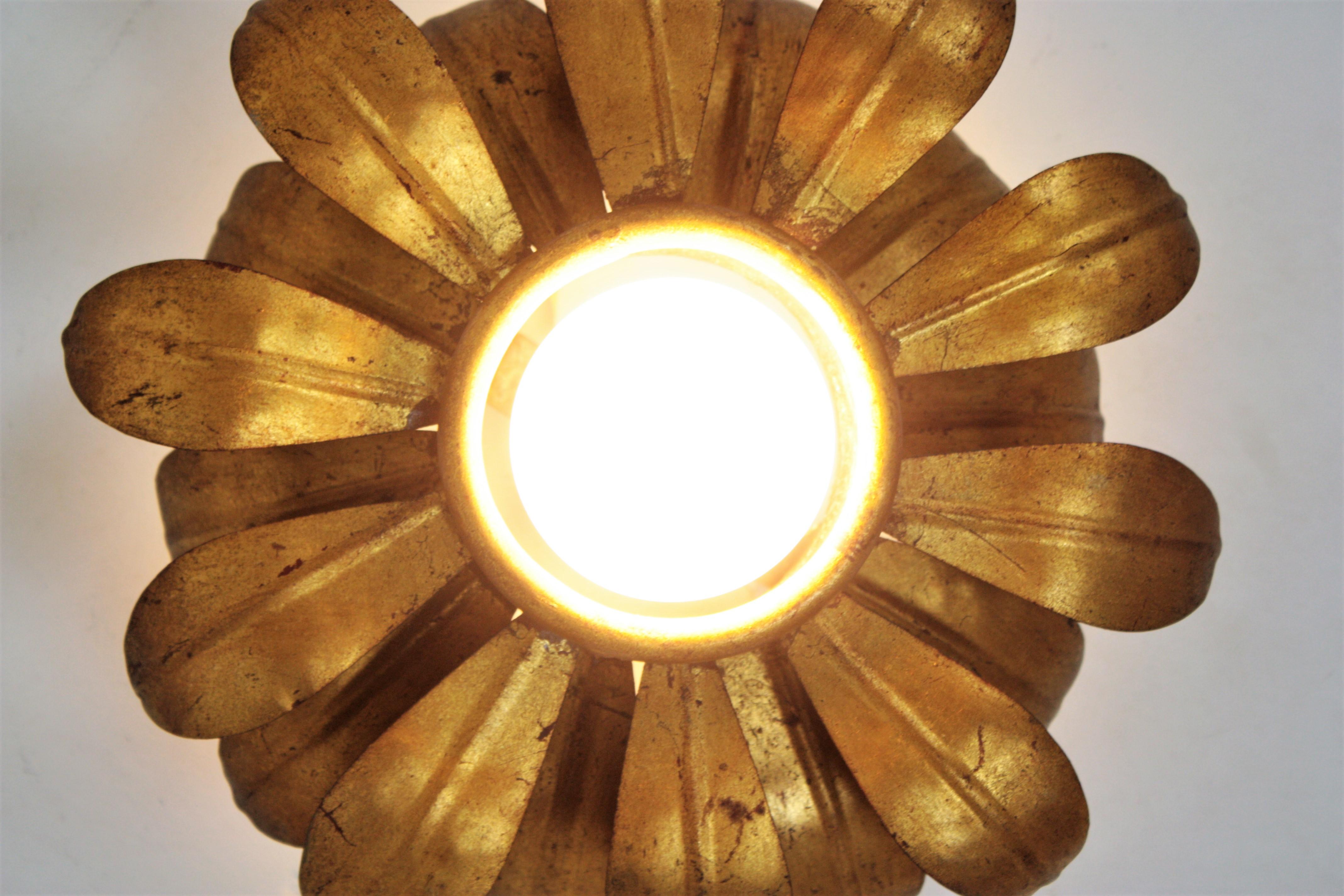 French Flower Sunburst Light Fixture or Pendant in Gilt Iron For Sale 7