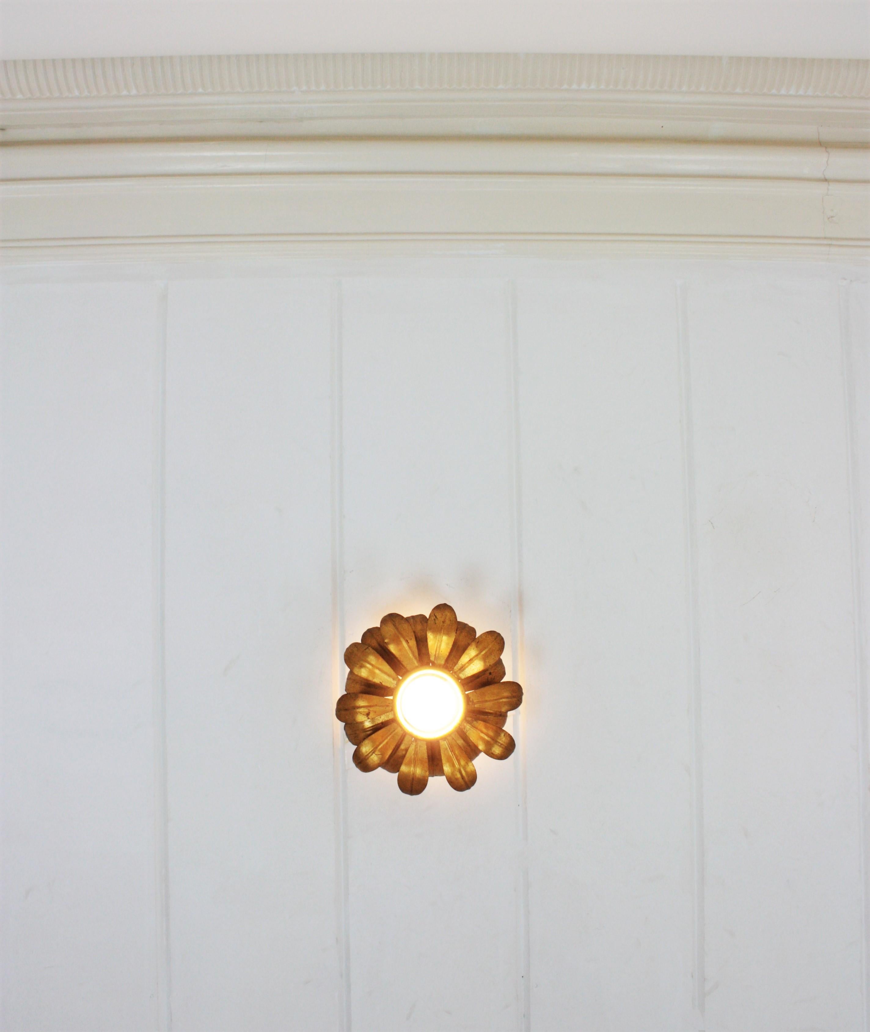 French Flower Sunburst Light Fixture or Pendant in Gilt Iron For Sale 9