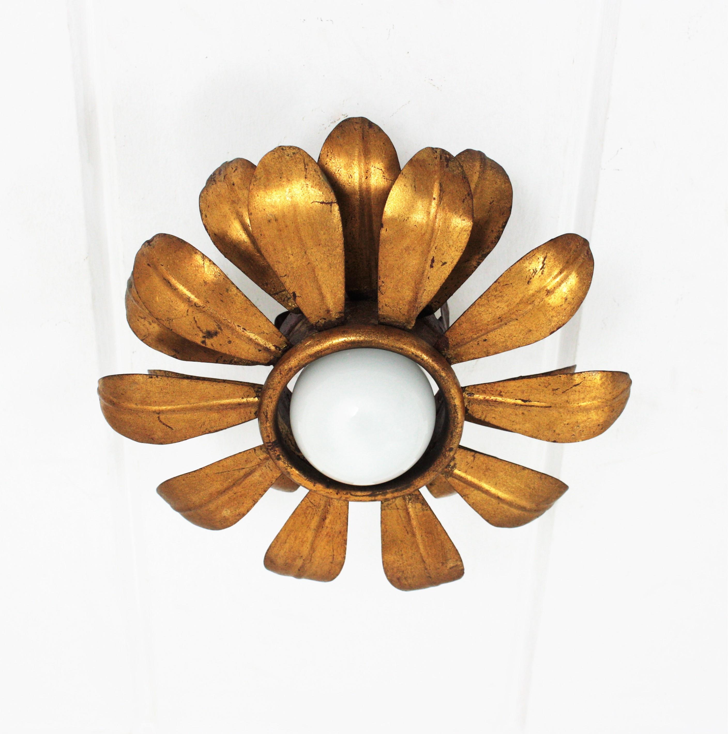 Spanish French Flower Sunburst Light Fixture or Pendant in Gilt Iron For Sale