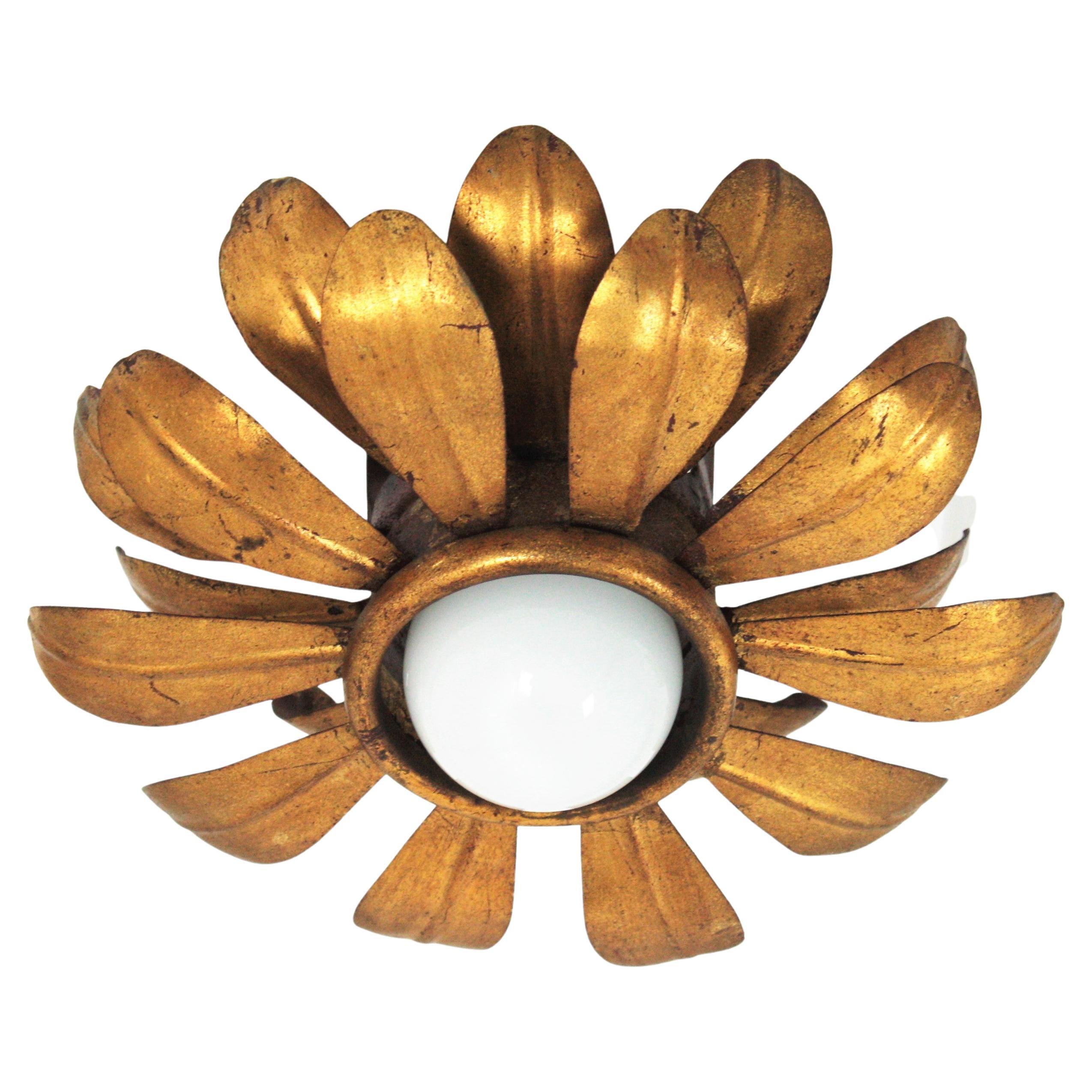 French Flower Sunburst Light Fixture or Pendant in Gilt Iron