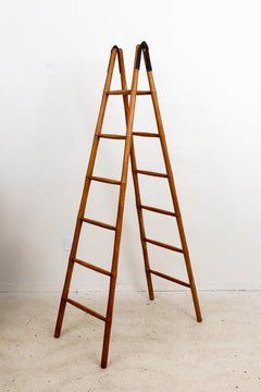 French Folding Library Ladder