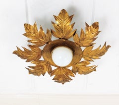 Foliage Sunburst Ceiling Light Fixture in Gilt Iron, 1950s