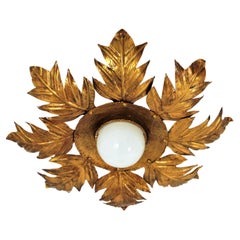 French Foliage Light Fixture in Gilt Iron, 1950s
