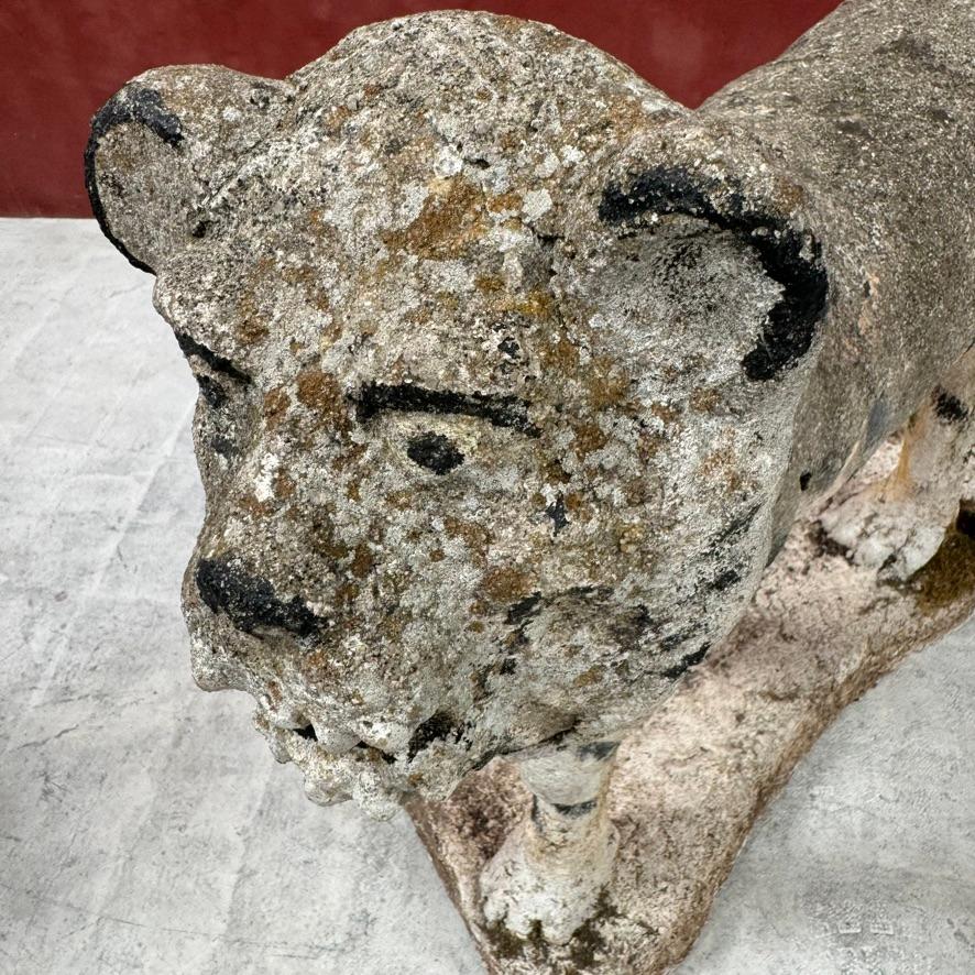 Arte popular francés Tigre de hormigón Concreto en venta