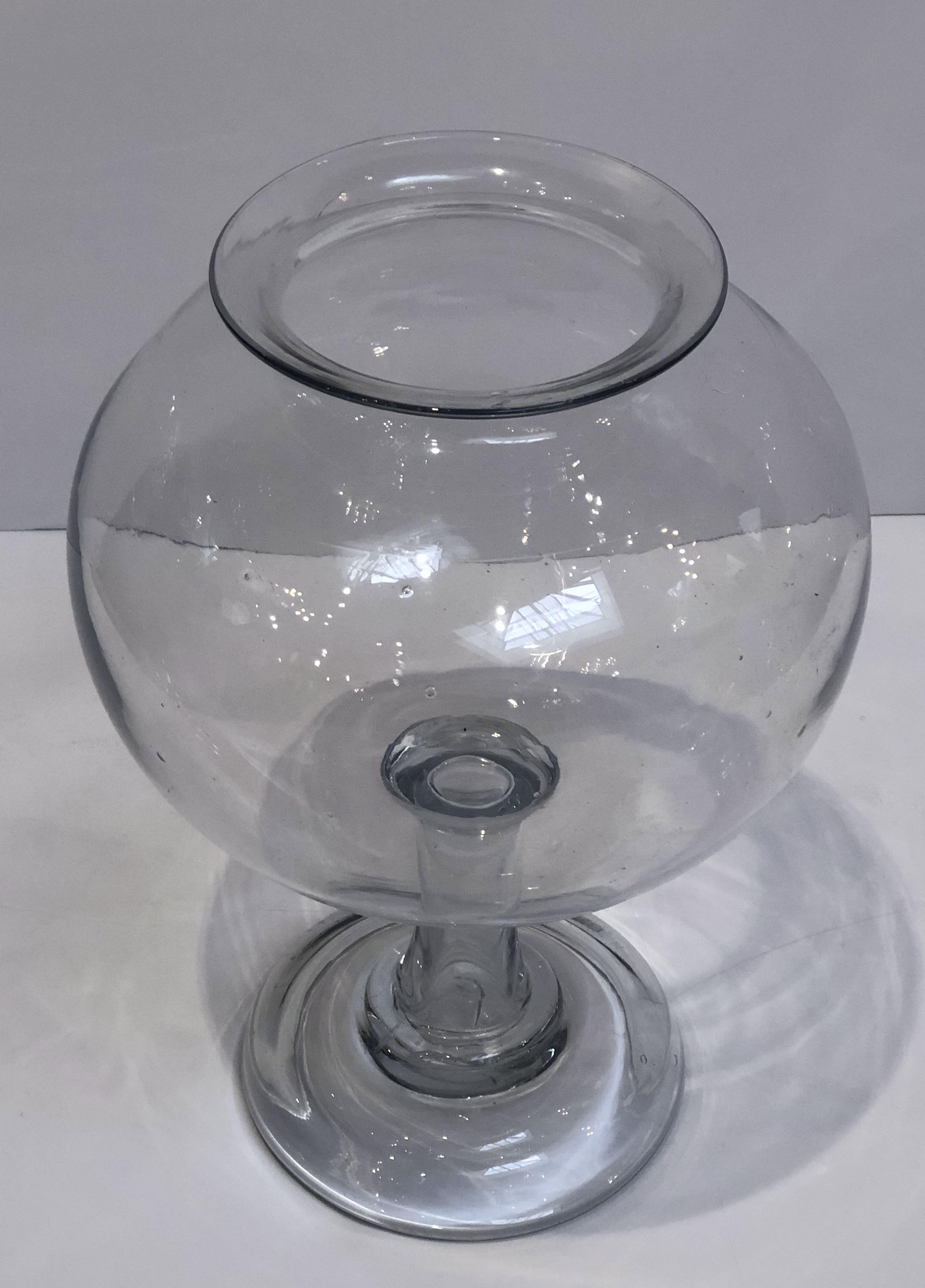 French Footed Leeches Jar of Glass from the 19th Century, a Medical Rarity 2