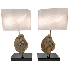 French Fossil Lamps