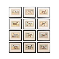 Vintage French Framed and Colored Lithographs Depicting Dogs