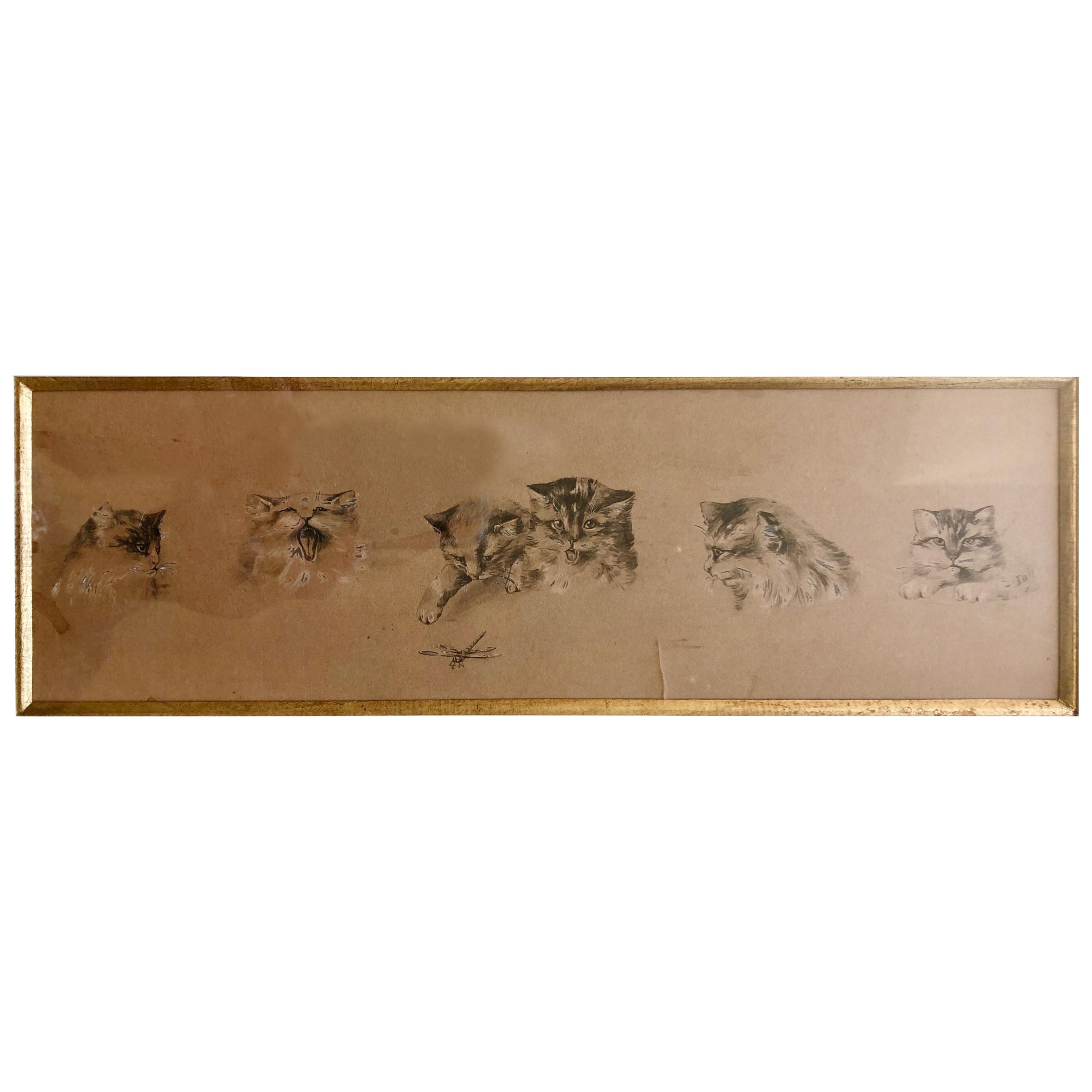 French Framed Etching of Cats in 6 Different Postures with a Dragonfly, Signed For Sale