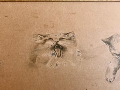 French Framed Etching of Cats in 6 Different Postures with a Dragonfly, Signed