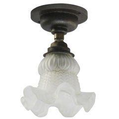 French Frosted Glass Cast Iron Brass Flush Mount Ceiling Lamps