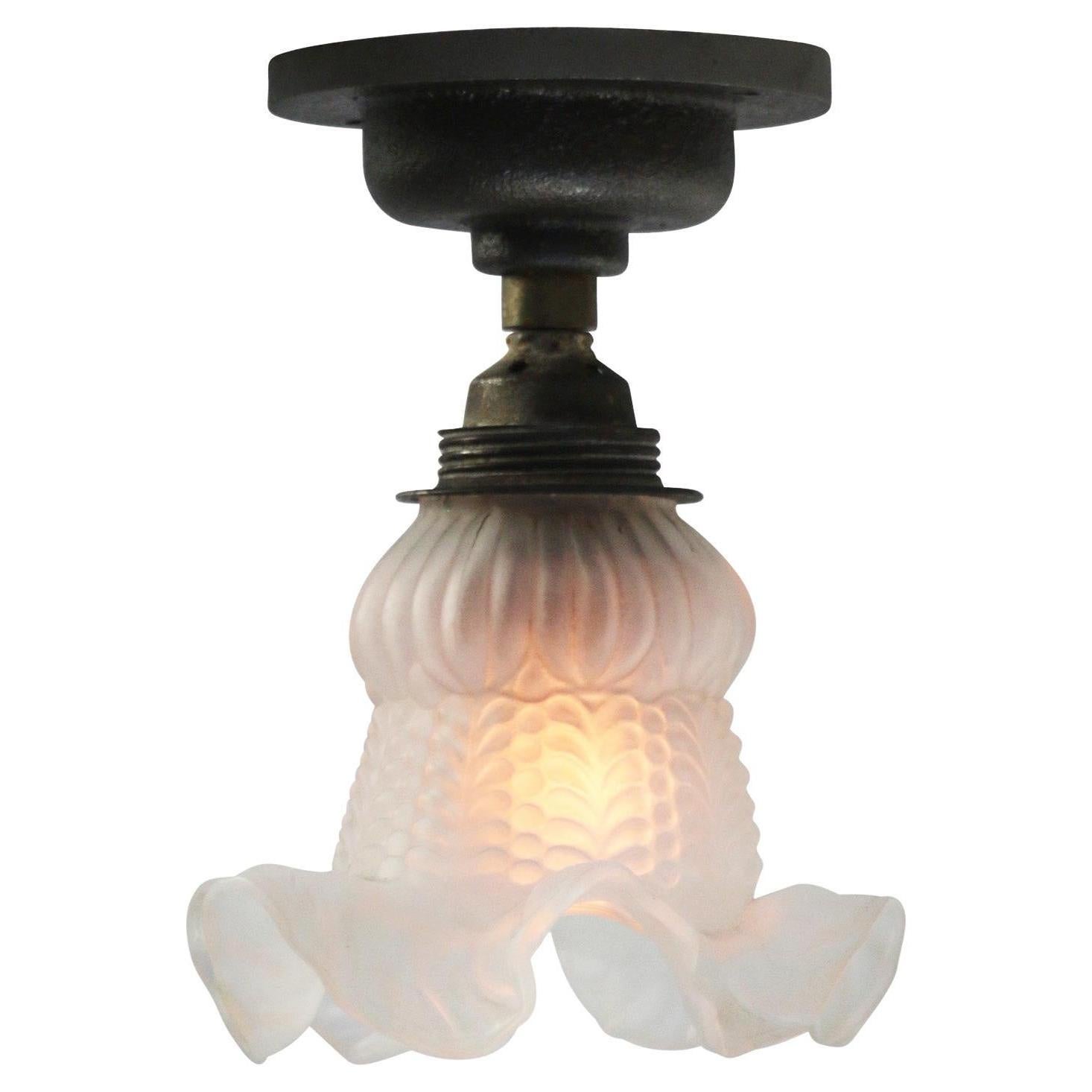 French Frosted Glass Cast Iron Brass Flush Mount Ceiling Lamps