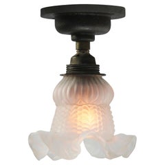 French Frosted Glass Cast Iron Brass Flush Mount Ceiling Lamps