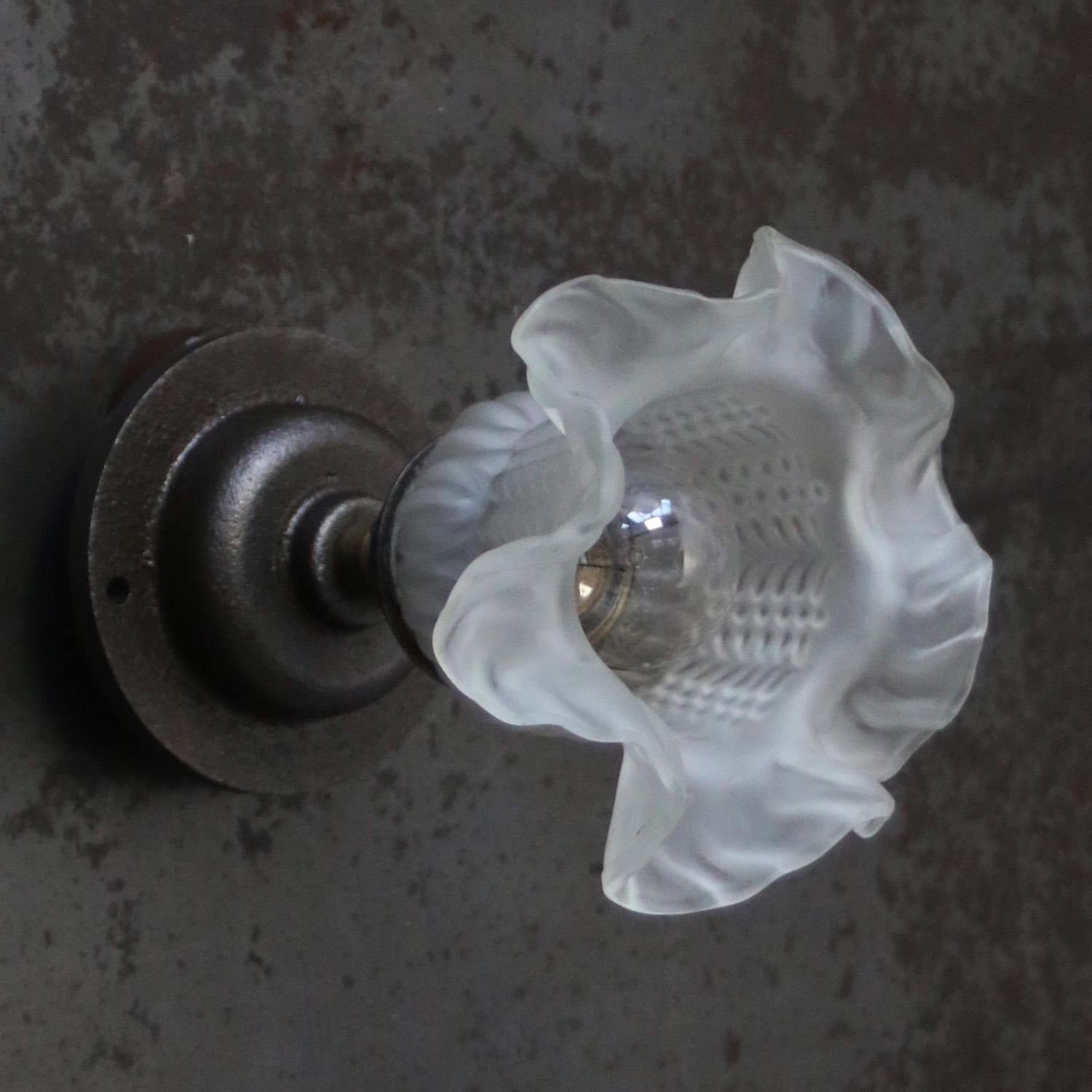 French Frosted Glass Cast Iron Brass Sconces Wall Lamps For Sale 1