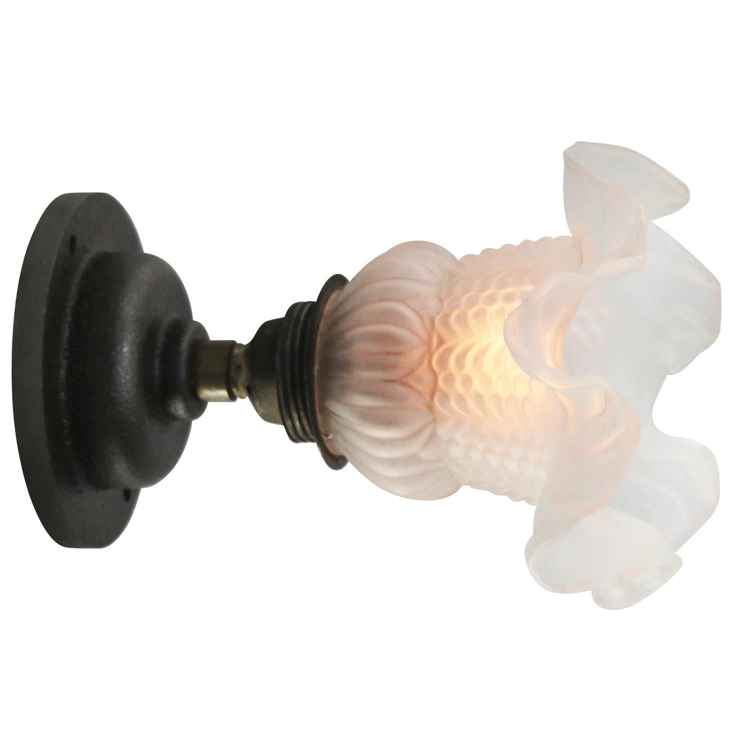 French Frosted Glass Cast Iron Brass Sconces Wall Lamps For Sale 2