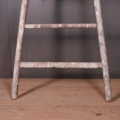 French Fruit Picking Ladder