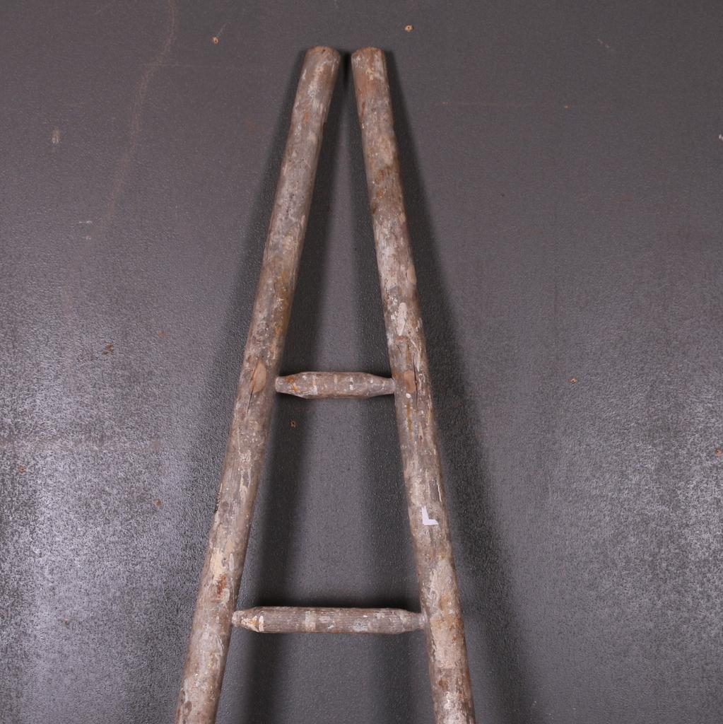 Early 20th C French painted fruit picking ladder, 1920.

Dimensions:
26 inches (66 cms) wide
2 inches (5 cms) deep
79.5 inches (202 cms) high.