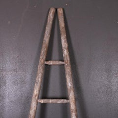 French Fruit Picking Ladder