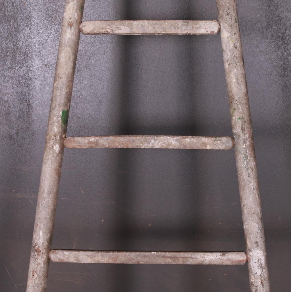 Painted French Fruit Picking Ladder
