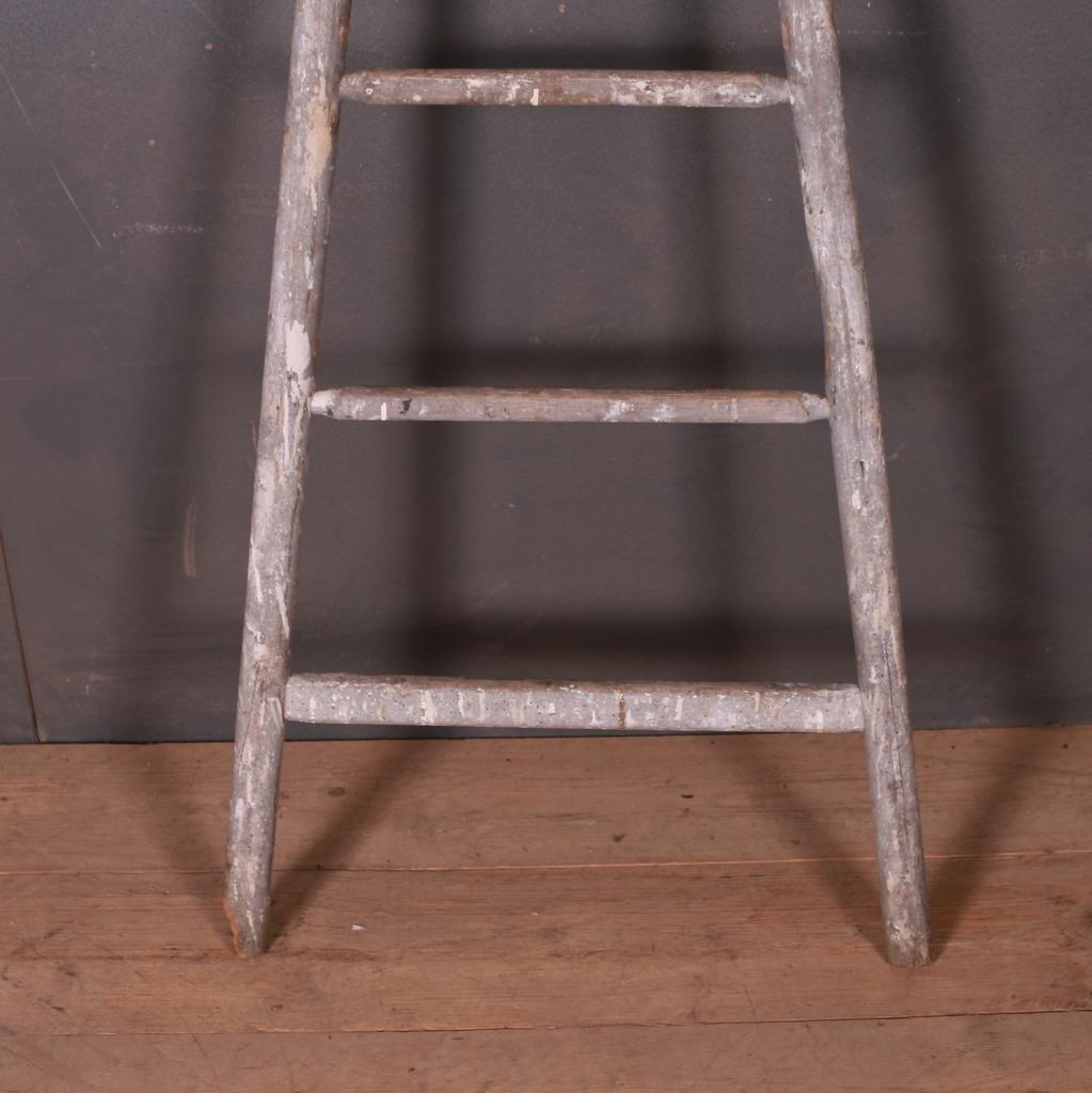 Painted French Fruit Picking Ladder