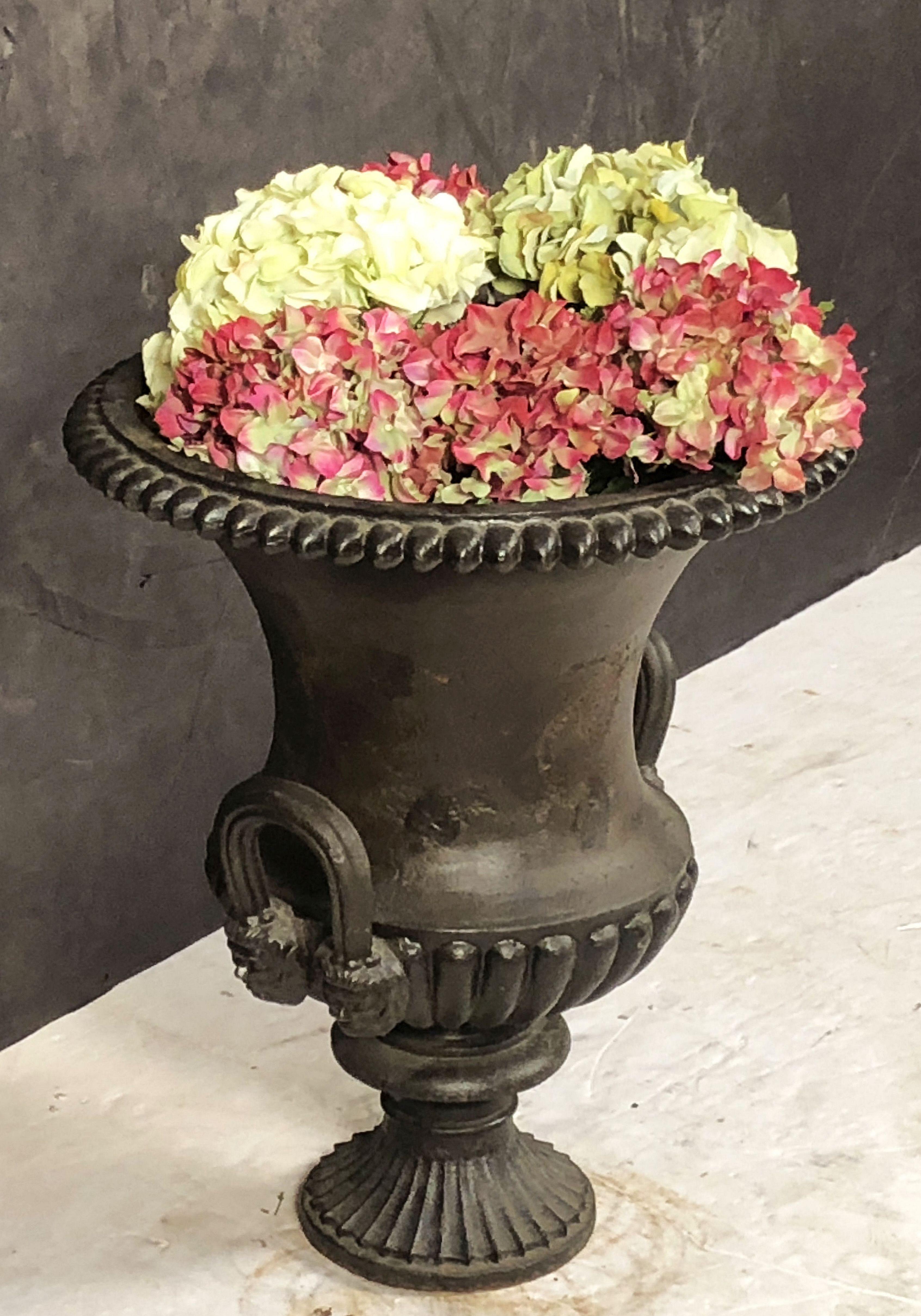 Classical Greek French Garden Urn or Planter Pot of Cast Iron in the Classical Style For Sale