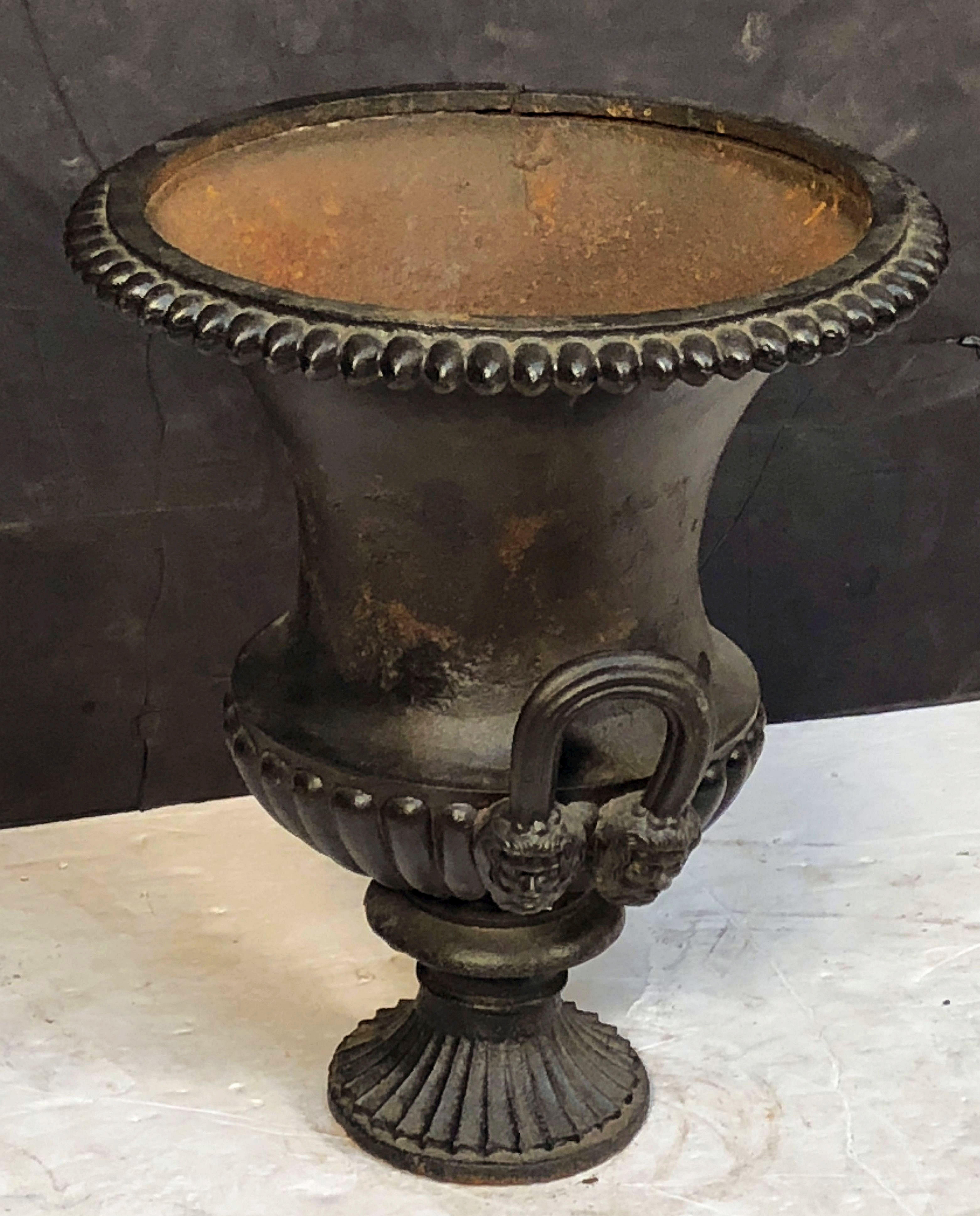 French Garden Urn or Planter Pot of Cast Iron in the Classical Style For Sale 3