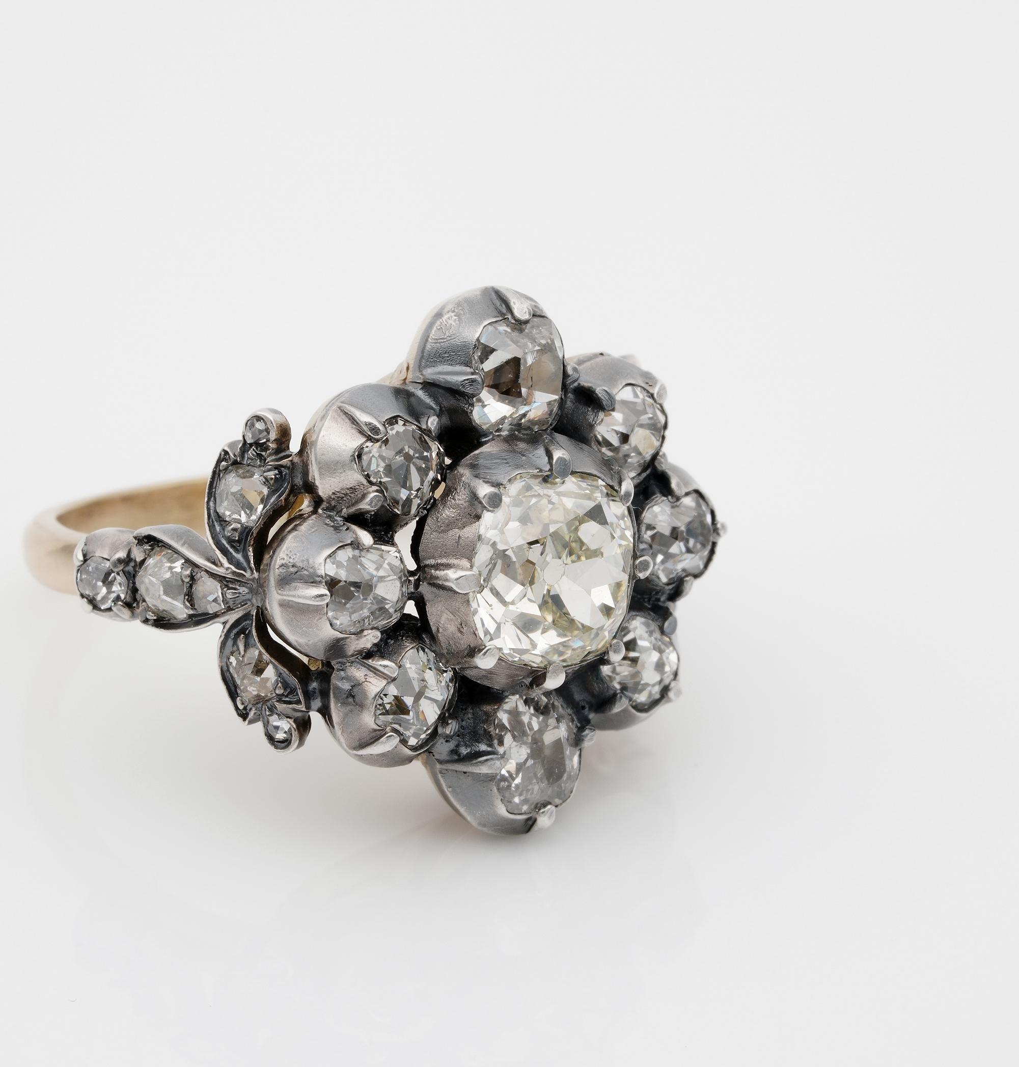 Old Mine Cut French 3.60 Carat Old Mine Diamond Important Antique Cluster Ring For Sale
