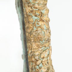 19th Century French Gilt Gold and Painted Carved Mirror