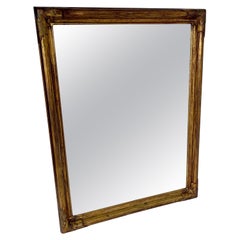 French Gilt Art Nouveau Framed Rectangular Wall Mirror, circa 1910
