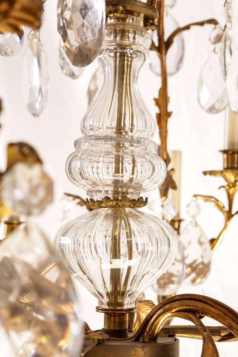 Louis XV French Gilt Bronze and Cut-Glass, 14-Light Chandelier, 19th Century For Sale