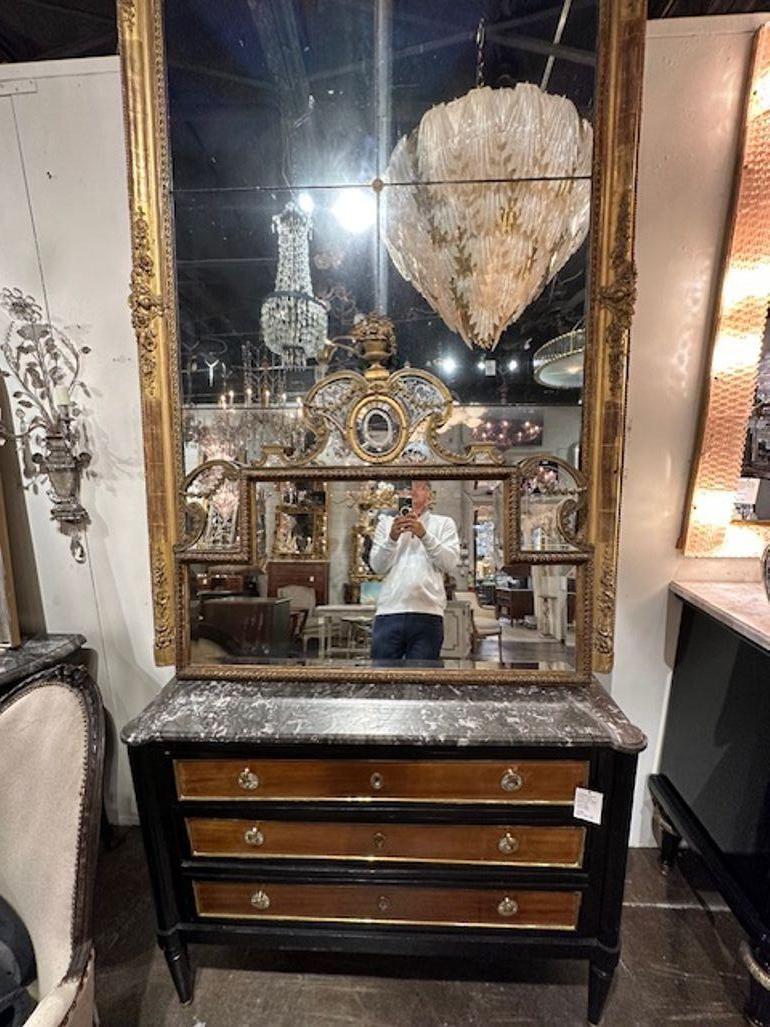 French Gilt Bronze Etched Mirror In Good Condition For Sale In Dallas, TX