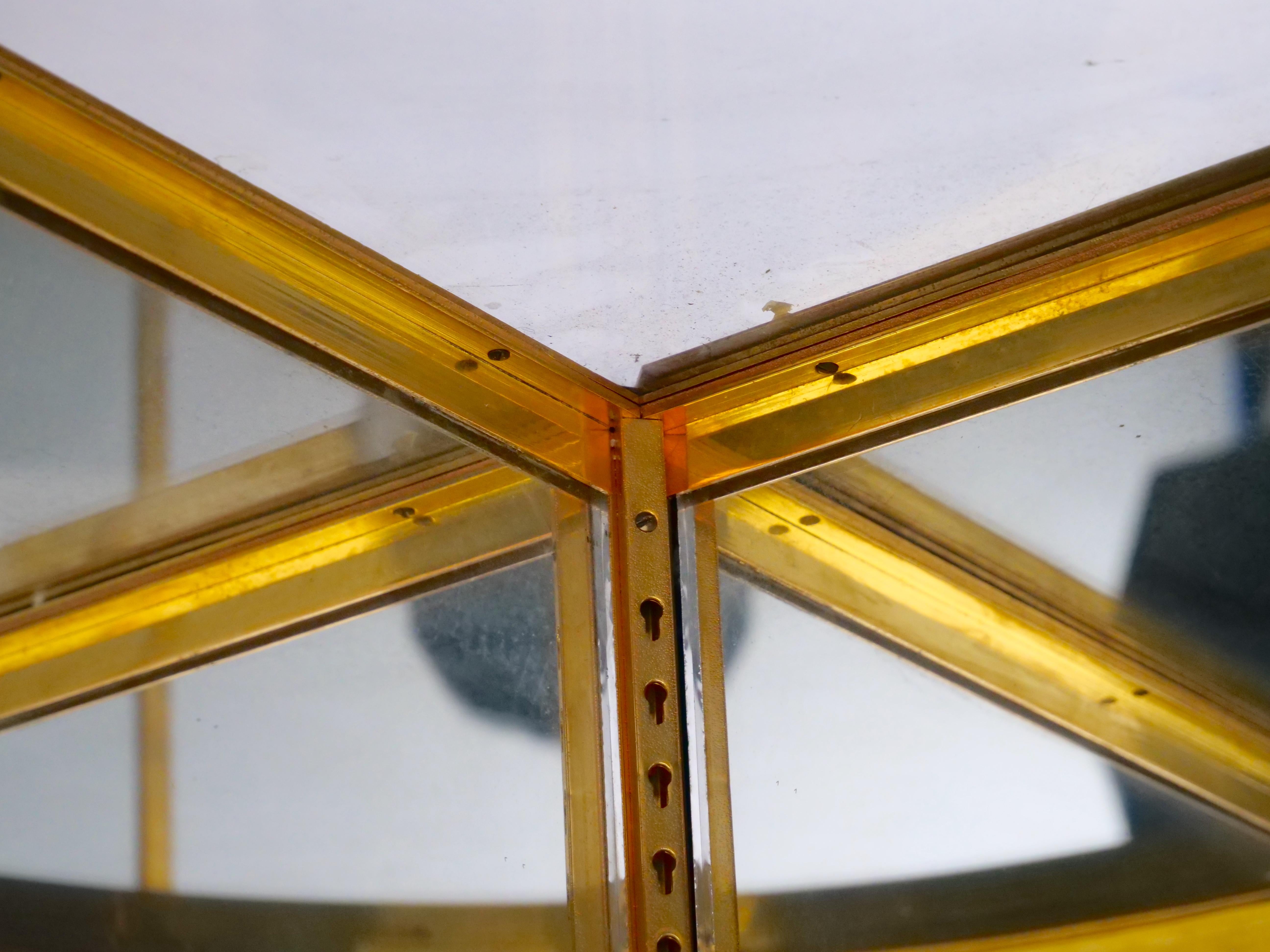 Cabinet de curiosité français à cadre en bronze doré et base en acajou en vente 1