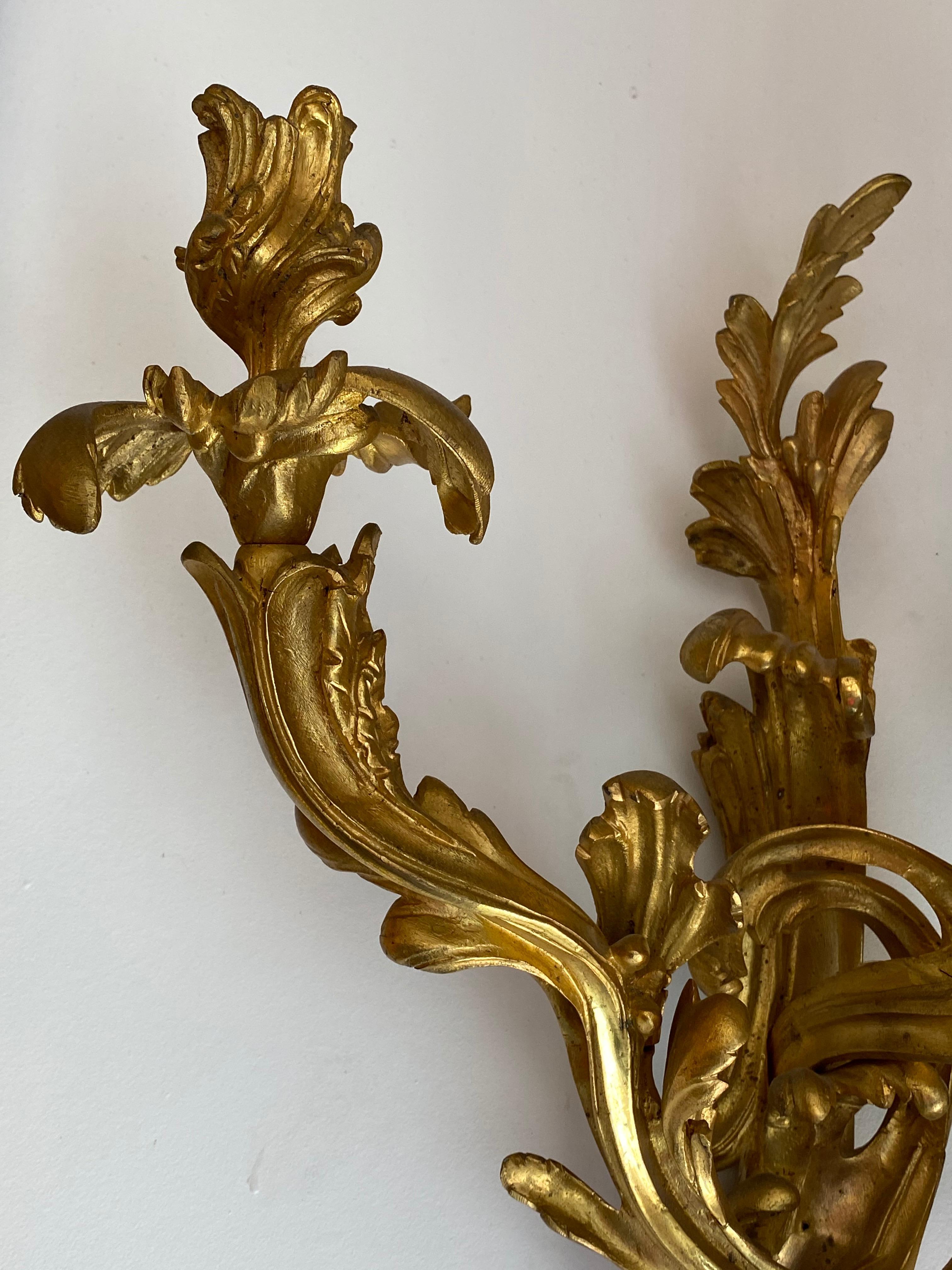 19th Century French Gilt Bronze Pair of Sconces