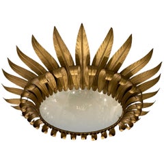 French Gilt Sunburst Light Fixture French Gilt Sunburst Light Fixture