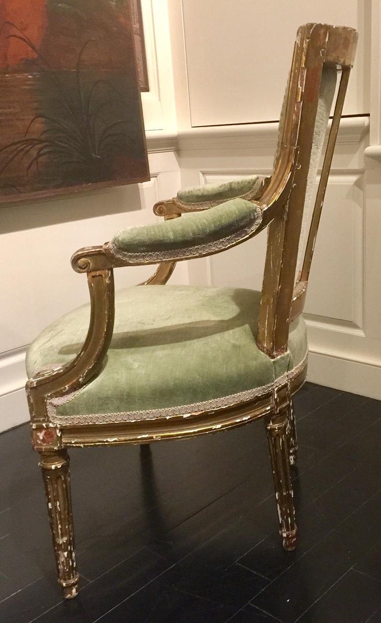 French giltwood cabriolet armchair, Louis XVI style, linen velvet


Dimensions: 24 in. W x 23 in. D x 34 in. H
Seat height 15.5 in.