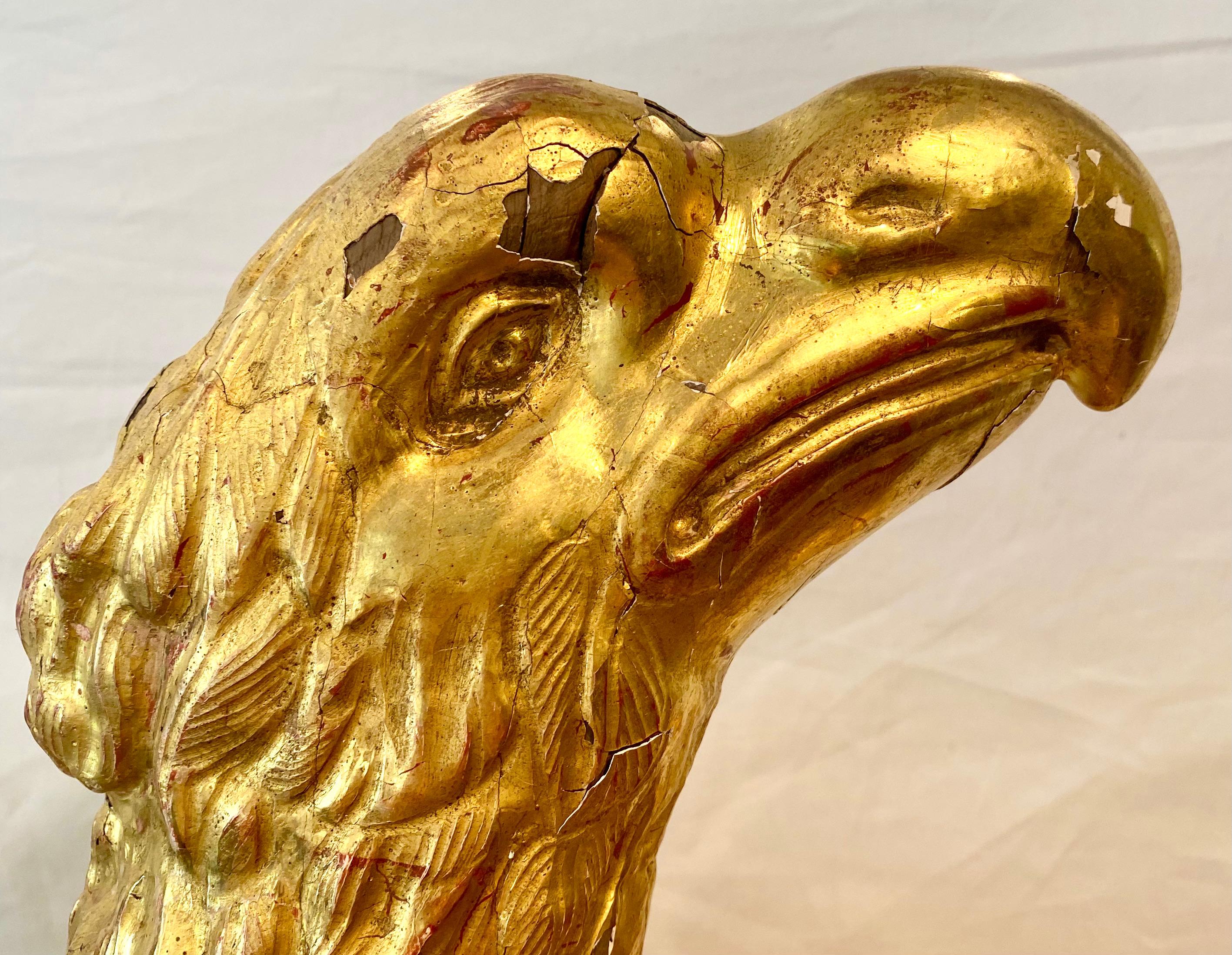 Französische Adler-Skulptur aus Giltwood im Angebot 3