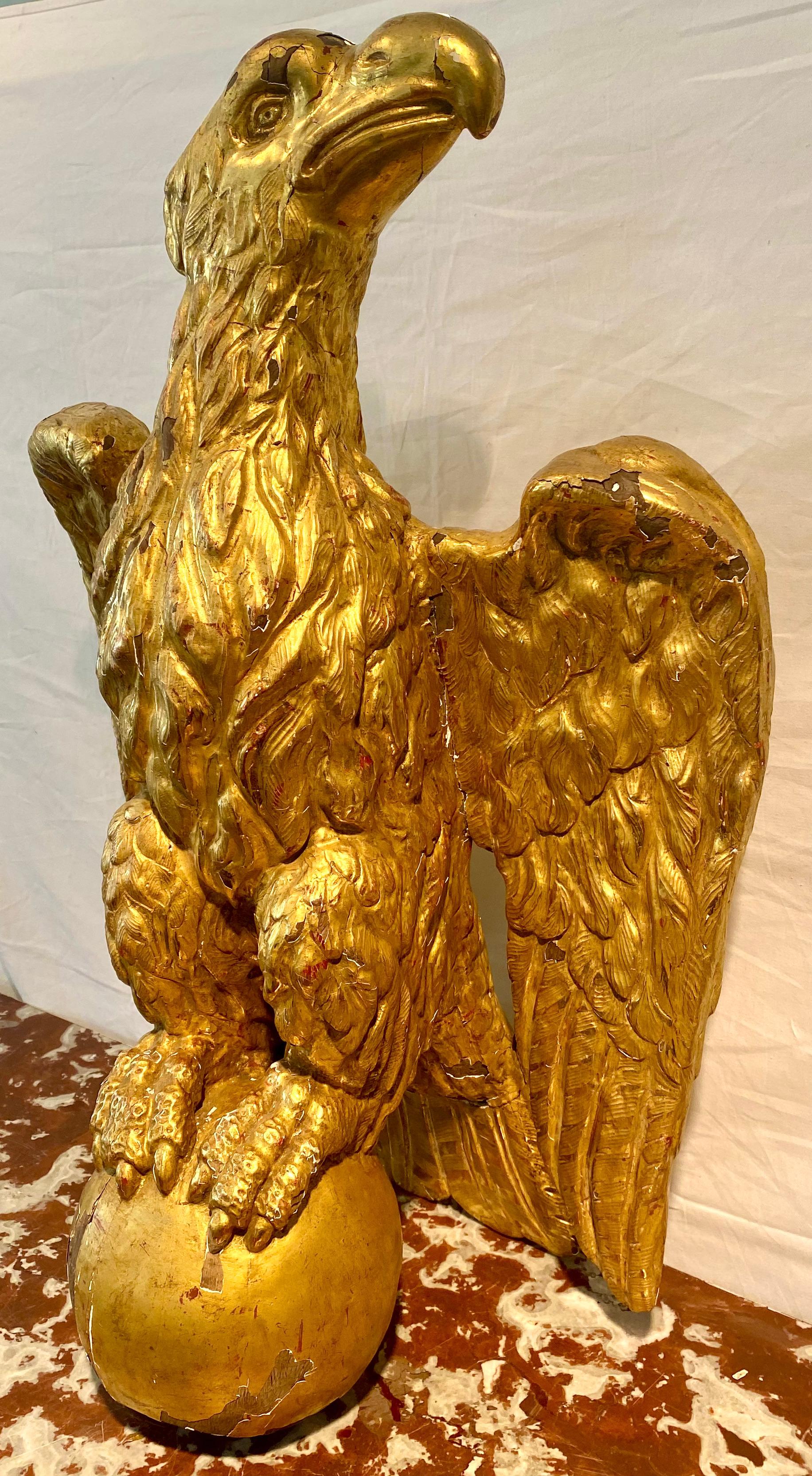 French Giltwood Eagle Sculpture For Sale 1