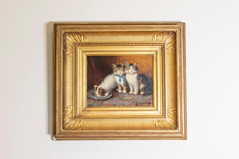 Huile sur panneau d'une peinture de chaton encadrée en bois doré