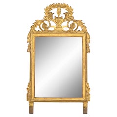French Giltwood Louis XVI Style Mirror