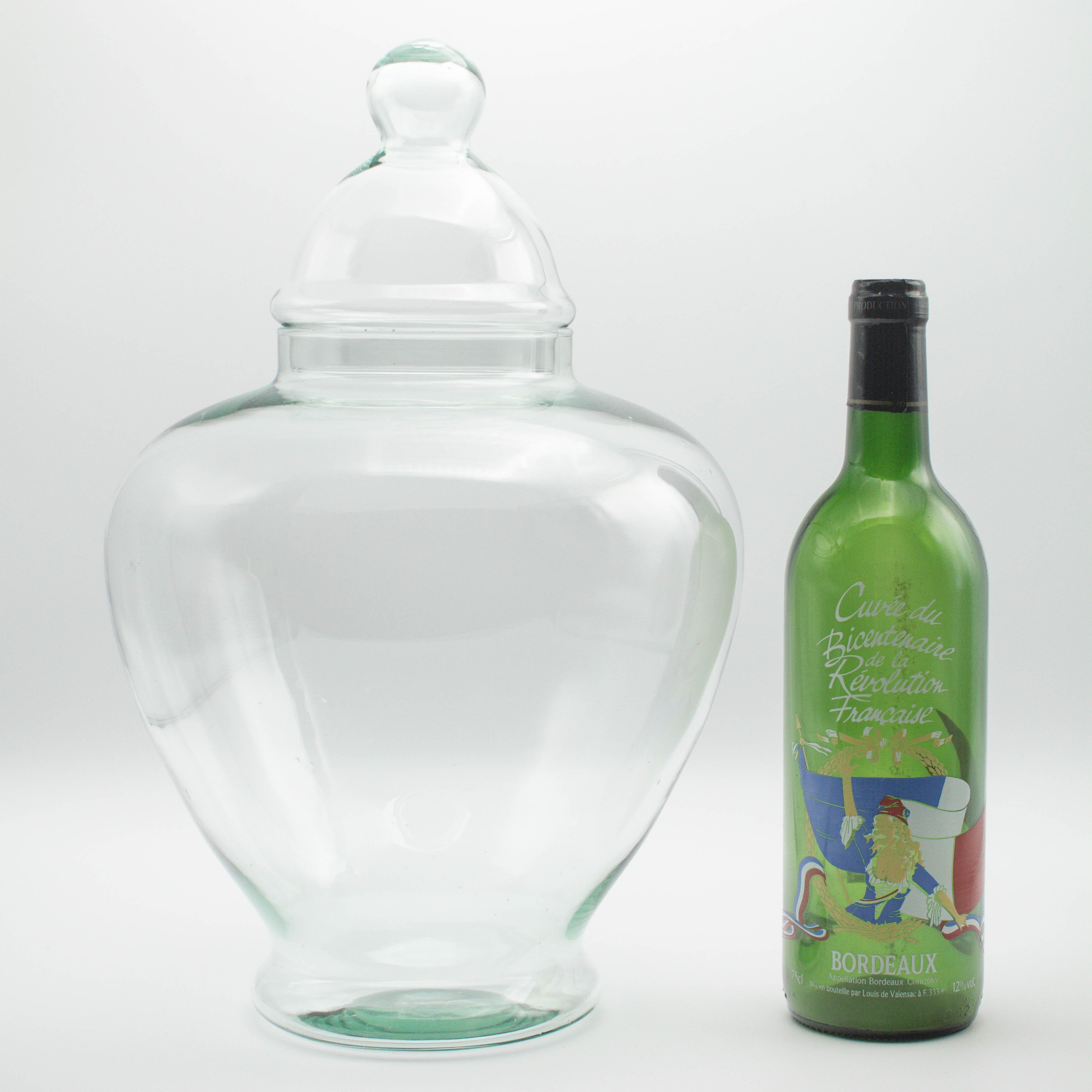 20ième siècle Paire de pots d'apothicaire en verre français en vente