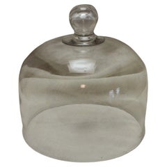 French Glass Food Dome or Cloche