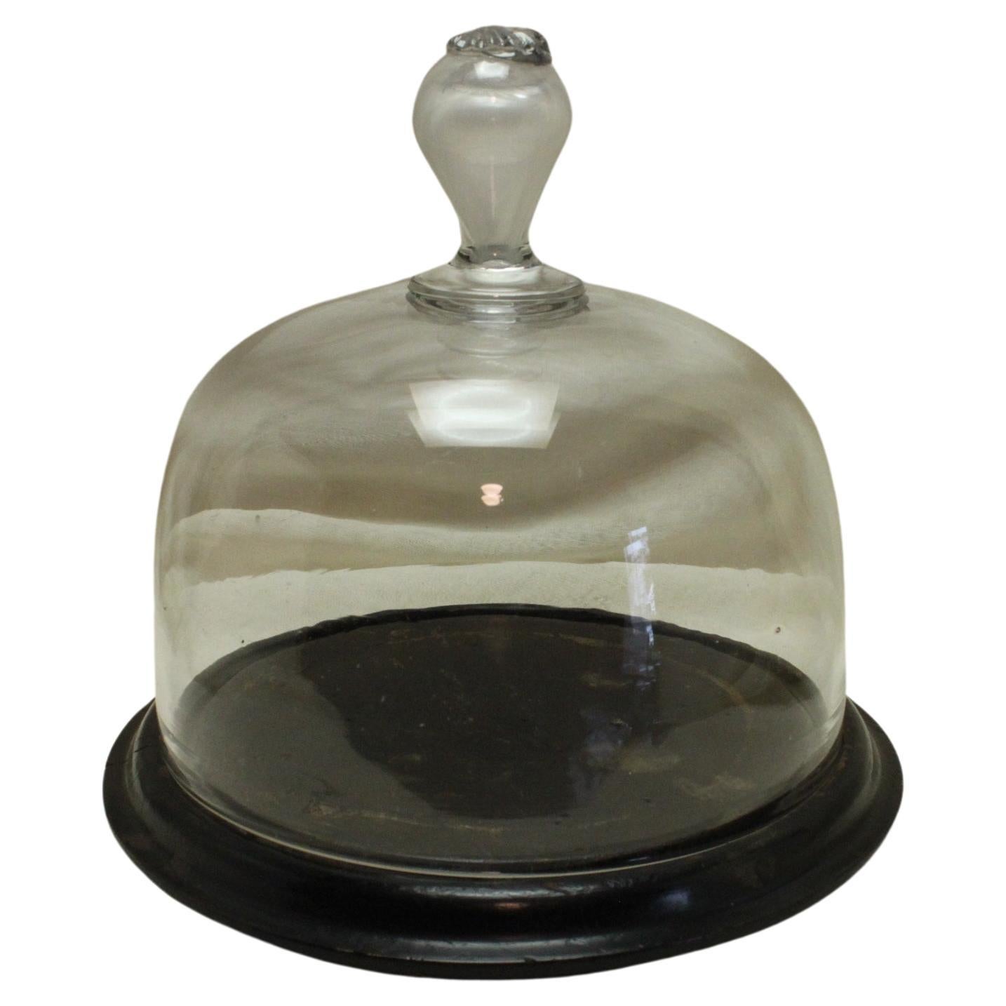 French Glass Food Dome or Cloche on Stand For Sale