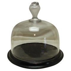 French Glass Food Dome or Cloche on Stand