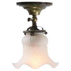 French glass frosted Glass Flush Mount Ceiling Lamp