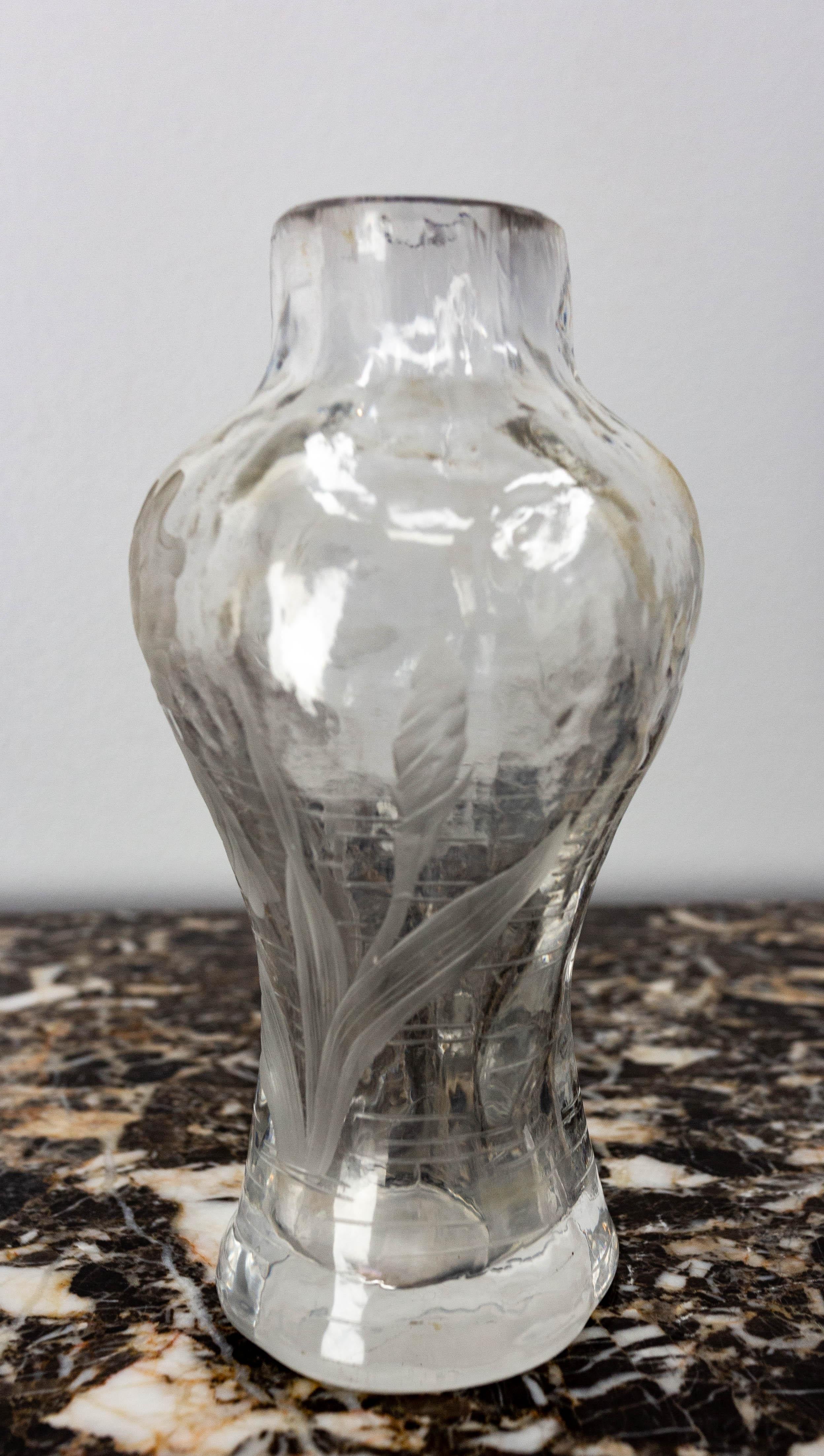 20th Century French Glass Vase with Iris and Lacusted Decoration Art Nouveau, circa 1900 For Sale