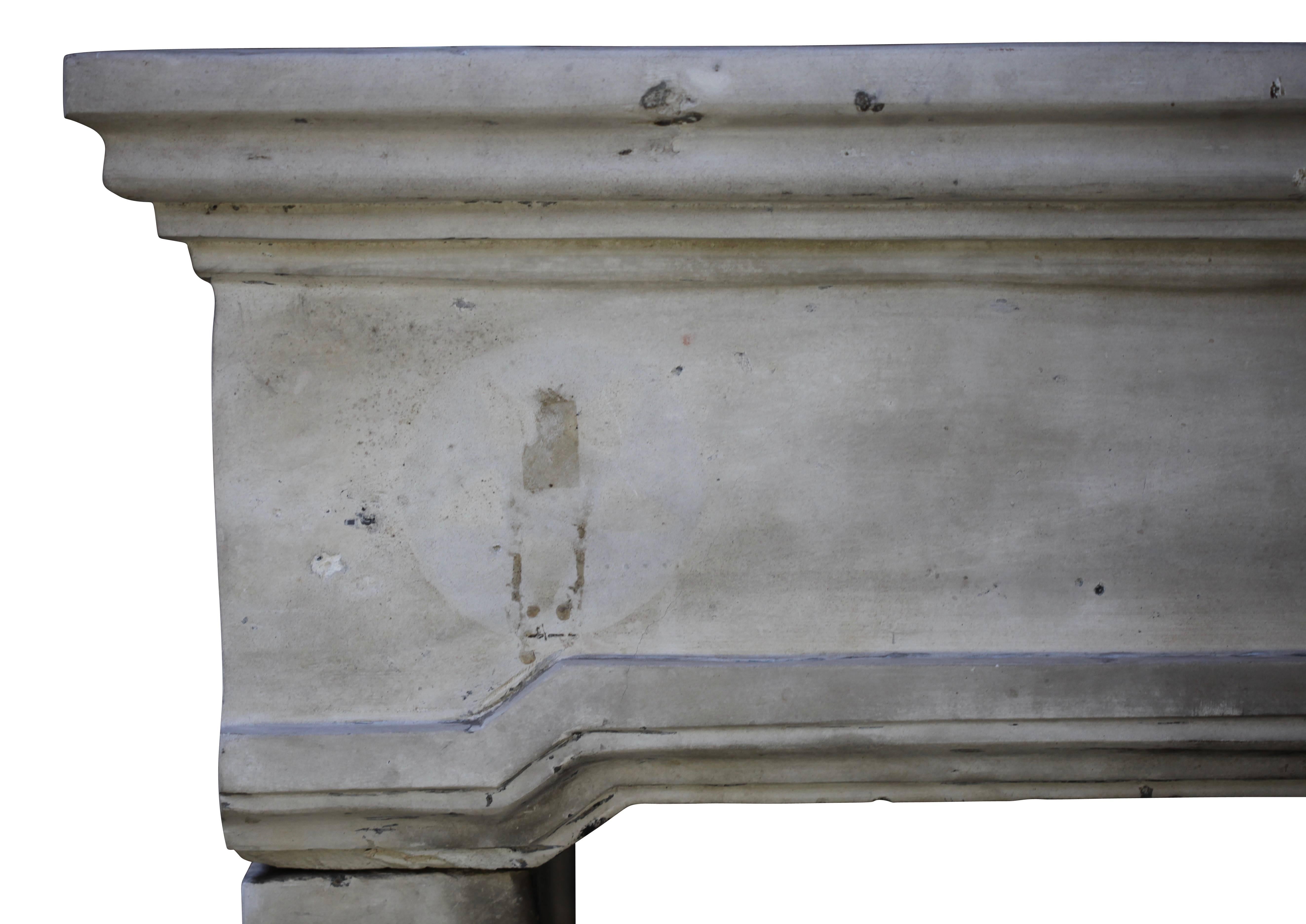 French Grand Country Limestone Antique Fireplace Surround For Sale 1