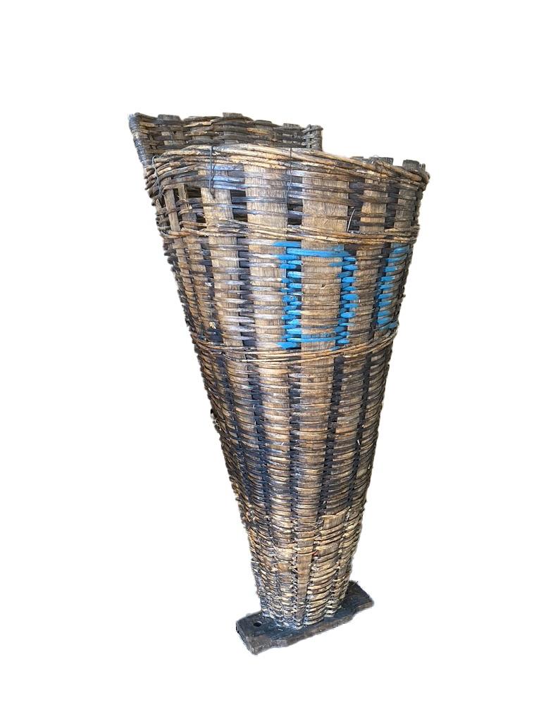 This amazing antique grape picking basket is a rare woven version of the more common metal or wood versions of the same. it has beautiful blue lettering on the front and is rustic and authentic. It looks beautiful hanging on a wall with dried moss
