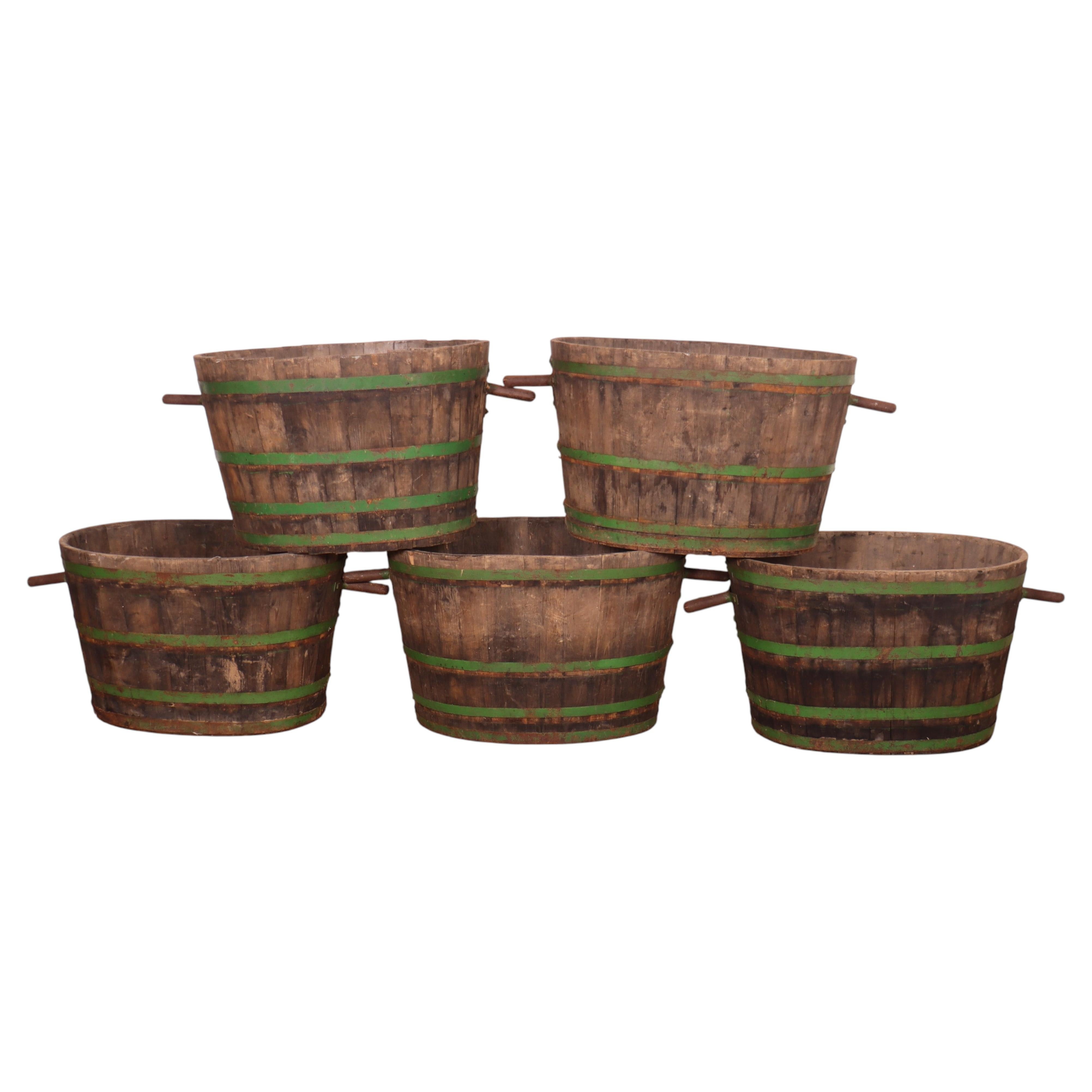 French Grape Picking Tubs