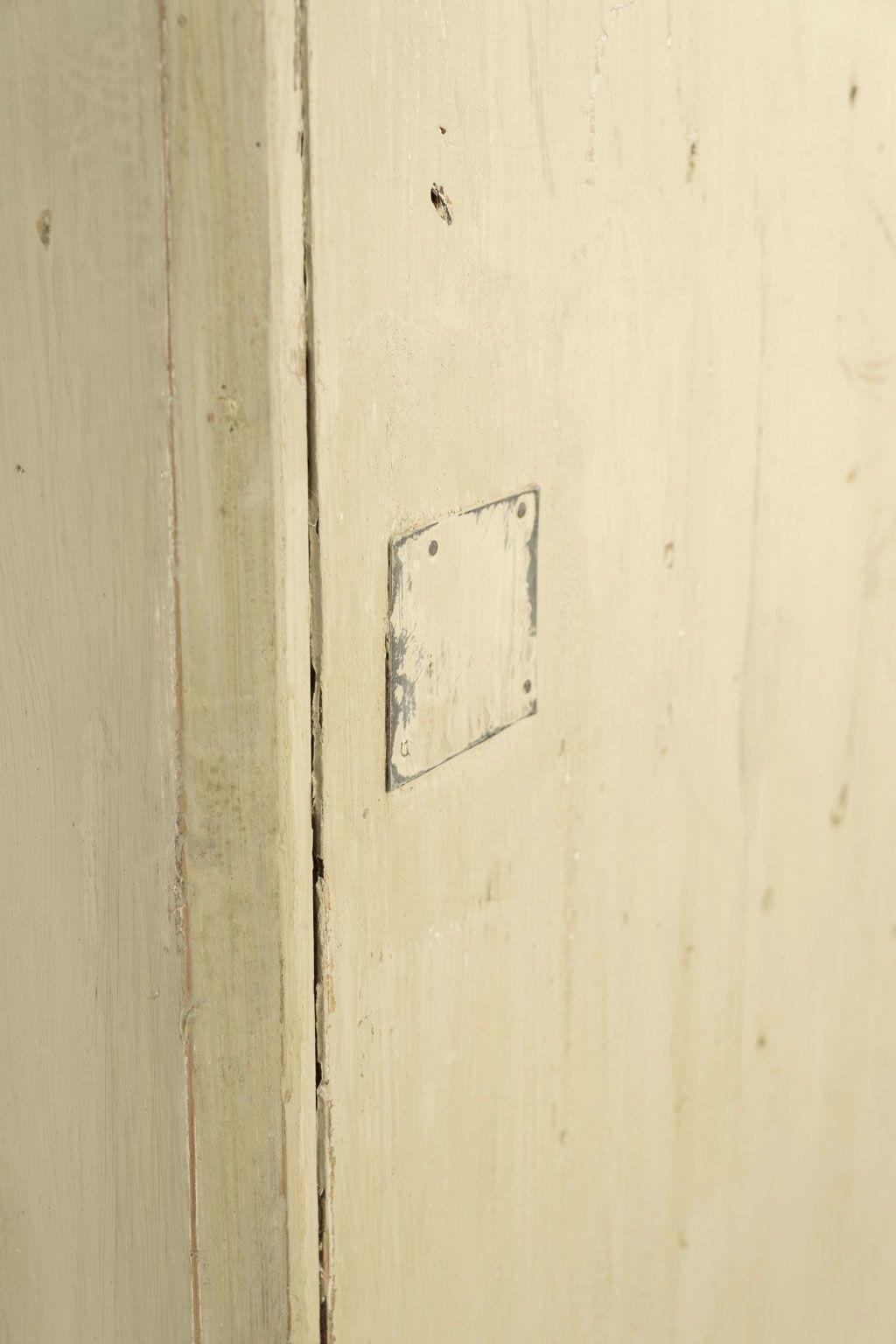 Armoire française peinte en vert-gris avec panneaux émaillés 4